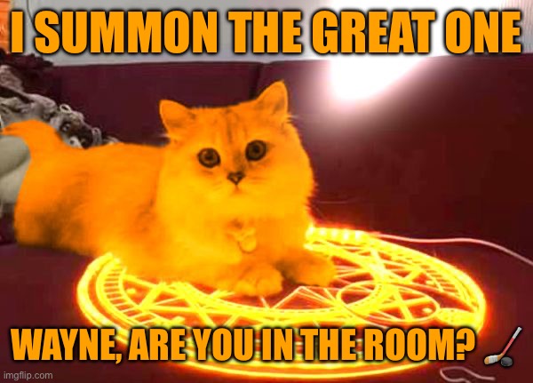 RayCat Powers | I SUMMON THE GREAT ONE; WAYNE, ARE YOU IN THE ROOM? 🏒 | image tagged in raycat powers | made w/ Imgflip meme maker