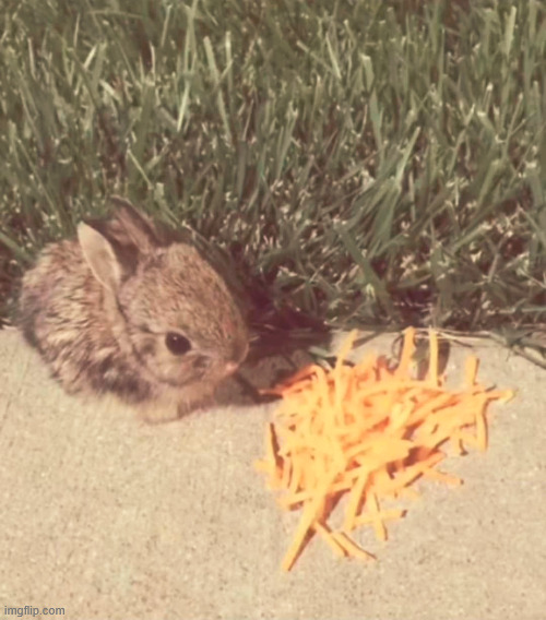 bny | made w/ Imgflip meme maker