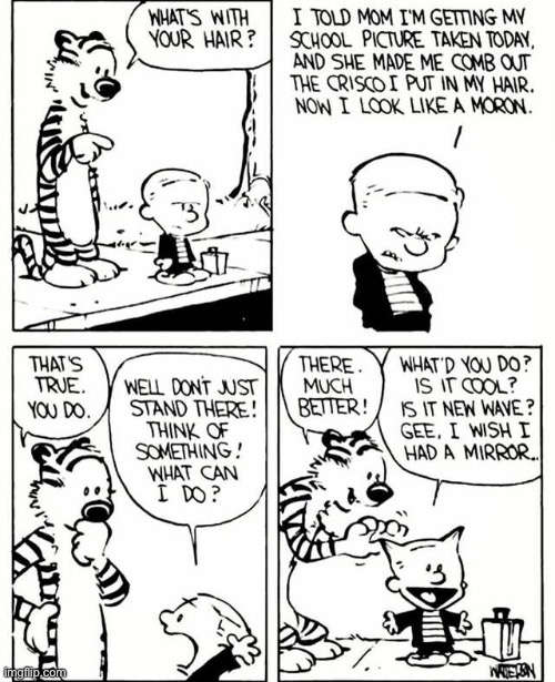 Looks like “The Batman” hairstyle… | image tagged in calvin and hobbes,comics,school picture,new hairdo | made w/ Imgflip meme maker