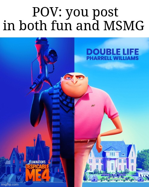 Double Life | POV: you post in both fun and MSMG | image tagged in double life | made w/ Imgflip meme maker