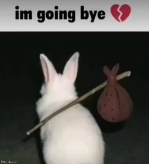 did it again (tiktok compression + esmbot) | made w/ Imgflip meme maker