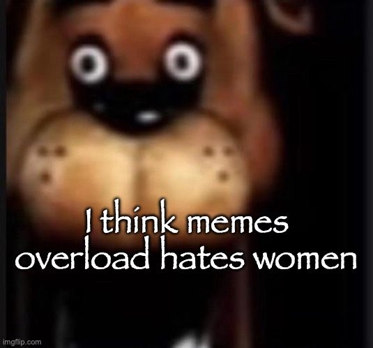 fred fazbar | I think memes overload hates women | image tagged in fred fazbar | made w/ Imgflip meme maker