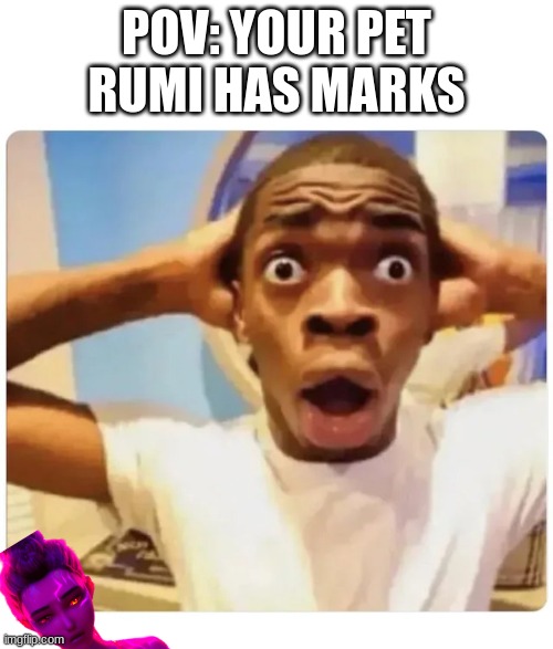 kpop demon hunters | POV: YOUR PET RUMI HAS MARKS | image tagged in black guy suprised,kpop,kpop demon hunters | made w/ Imgflip meme maker