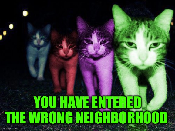 Wrong Neighborhood RayCats | YOU HAVE ENTERED THE WRONG NEIGHBORHOOD | image tagged in wrong neighborhood raycats | made w/ Imgflip meme maker