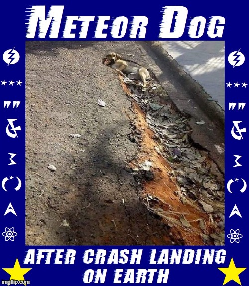 Krypto, Under Dog & Dynomutt have nothing on... | image tagged in vince vance,dogs,meteor,dog,crash landing,funny animal meme | made w/ Imgflip meme maker