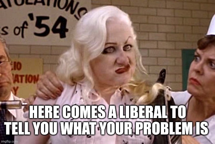 HERE COMES A LIBERAL TO TELL YOU WHAT YOUR PROBLEM IS | image tagged in funny memes | made w/ Imgflip meme maker