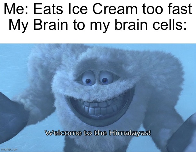 Welcome to the himalayas | Me: Eats Ice Cream too fast
My Brain to my brain cells: | image tagged in welcome to the himalayas,brain freeze,ice cream,monsters inc | made w/ Imgflip meme maker