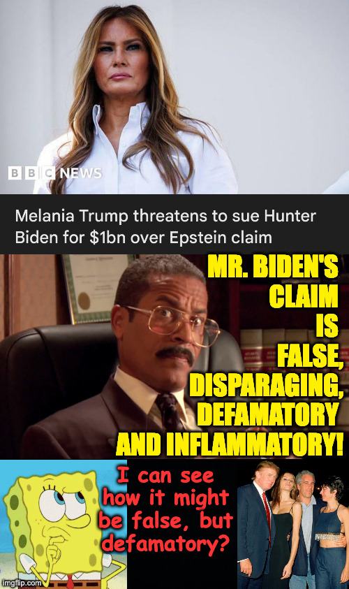 Frivolous lawsuits. | MR. BIDEN'S 
CLAIM 
IS 
FALSE,
DISPARAGING,
DEFAMATORY 
AND INFLAMMATORY! I can see
how it might
be false, but
defamatory? | image tagged in jackie chiles,memes,trump epstein | made w/ Imgflip meme maker
