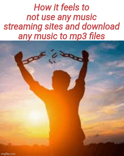 How it feels to not use any music streaming sites and download any music to mp3 files | made w/ Imgflip meme maker