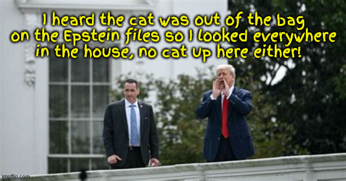 The cats outta the bag | I heard the cat was out of the bag on the Epstein files so I looked everywhere in the house, no cat up here either! | image tagged in the cats outta the bag,the epstein scandal,trumpsteingate,my pal the creep,trump on the roof | made w/ Imgflip meme maker