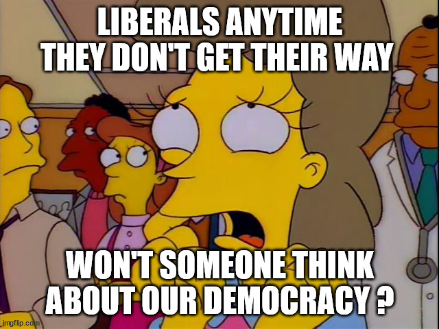 Think of our Democracy ! | LIBERALS ANYTIME THEY DON'T GET THEIR WAY; WON'T SOMEONE THINK ABOUT OUR DEMOCRACY ? | image tagged in helen lovejoy - children,liberals,democracy,get a grip,self righteous,sore loser | made w/ Imgflip meme maker
