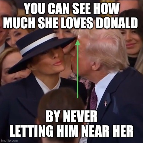 Melanie hat boundaries | YOU CAN SEE HOW MUCH SHE LOVES DONALD BY NEVER LETTING HIM NEAR HER | image tagged in melanie hat boundaries | made w/ Imgflip meme maker
