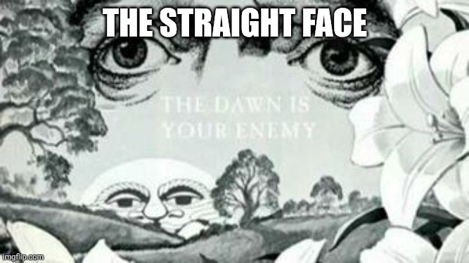 The Dawn is your enemy | THE STRAIGHT FACE | image tagged in the dawn is your enemy | made w/ Imgflip meme maker