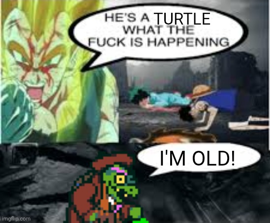 Aye, need a hand, I am motherfucking Gerson boom | TURTLE I'M OLD! | image tagged in he's a sponge what the fuck is happening | made w/ Imgflip meme maker