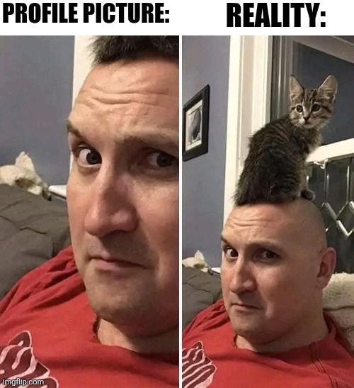Profile Picture: Reality: | PROFILE PICTURE:; REALITY: | image tagged in chrisjoines1 | made w/ Imgflip meme maker