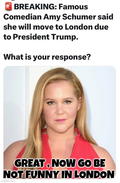 Amy Schumer meme | GREAT , NOW GO BE NOT FUNNY IN LONDON | image tagged in liberals | made w/ Imgflip meme maker