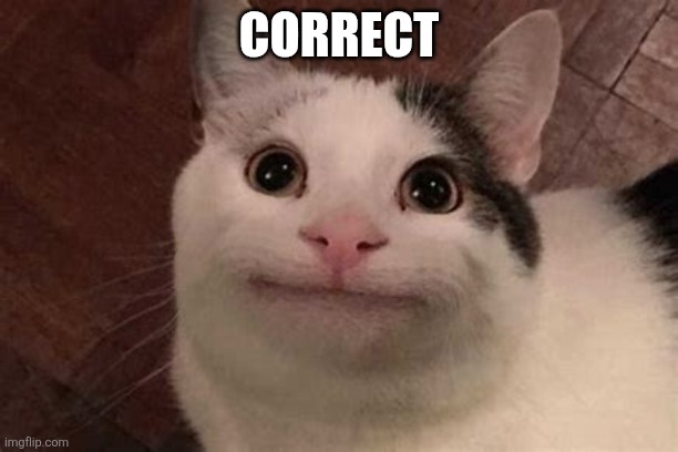 Polite Cat | CORRECT | image tagged in polite cat | made w/ Imgflip meme maker