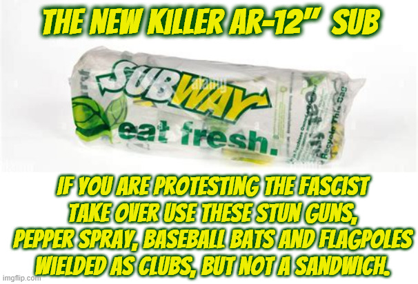 SUBWAY'S New AR-12" KILLER SUB | The New Killer AR-12"  SUB; If you are protesting the fascist take over use these stun guns, pepper spray, baseball bats and flagpoles wielded as clubs, But not a sandwich. | image tagged in assault with a deadly sandwich,ham sandwich conviction,sub was fully loaded,no gut bombs were found,subway's new ar-12 sub | made w/ Imgflip meme maker