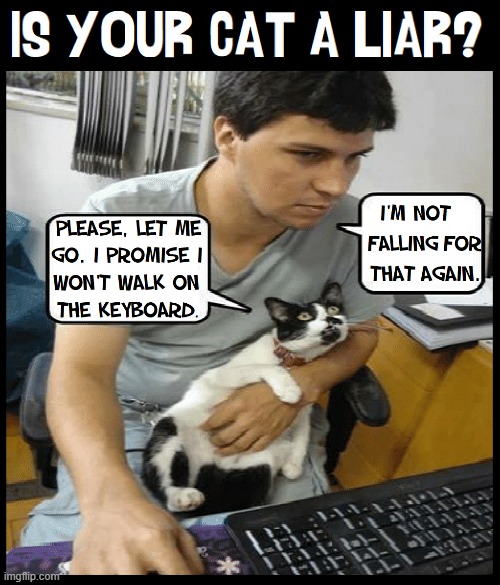 Main difference between a cat & a lie is a cat only has 9 lives. -Mark Twain | image tagged in vince vance,cats,lying,computer keyboard,funny cat memes,meow | made w/ Imgflip meme maker