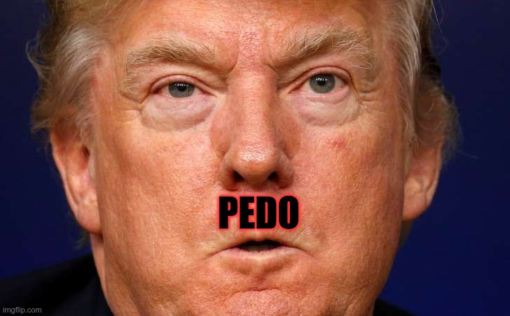 President PEDO | PEDO | image tagged in trump,gop,maga,nazi,fascist,pedo | made w/ Imgflip meme maker