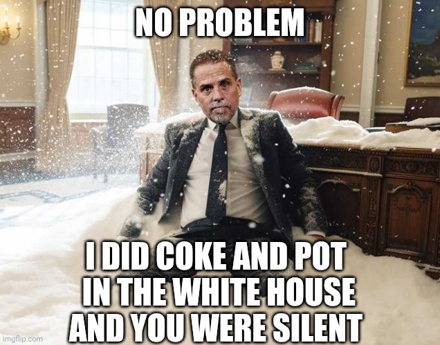 Hunter Biden | NO PROBLEM I DID COKE AND POT
 IN THE WHITE HOUSE
AND YOU WERE SILENT | image tagged in hunter biden | made w/ Imgflip meme maker