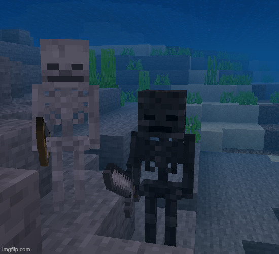 What the actual fuck is with the name of this template | made w/ Imgflip meme maker