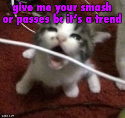 I LOVE EATING CABLES | give me your smash or passes bc it’s a trend | image tagged in i love eating cables | made w/ Imgflip meme maker