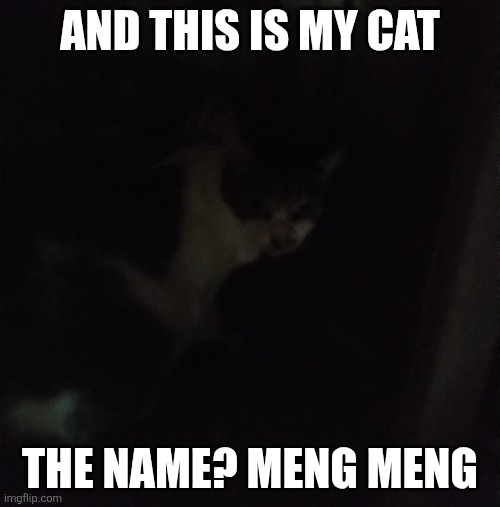 AND THIS IS MY CAT THE NAME? MENG MENG | made w/ Imgflip meme maker