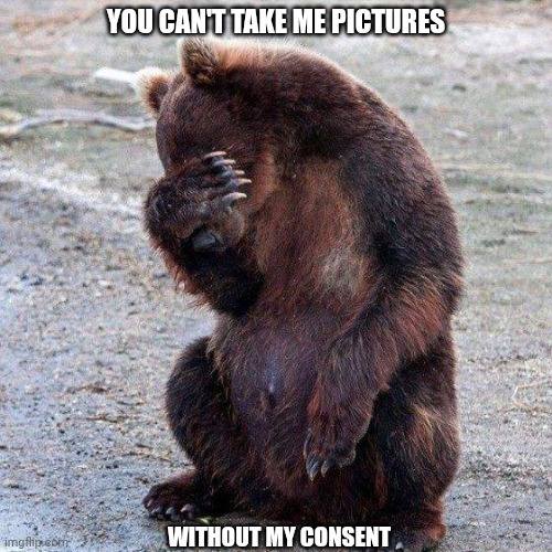 Poor animals | YOU CAN'T TAKE ME PICTURES; WITHOUT MY CONSENT | image tagged in poor animals | made w/ Imgflip meme maker