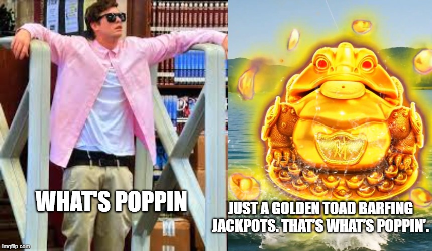 JUST A GOLDEN TOAD BARFING JACKPOTS. THAT’S WHAT’S POPPIN’. WHAT'S POPPIN | image tagged in what s up with all these books | made w/ Imgflip meme maker