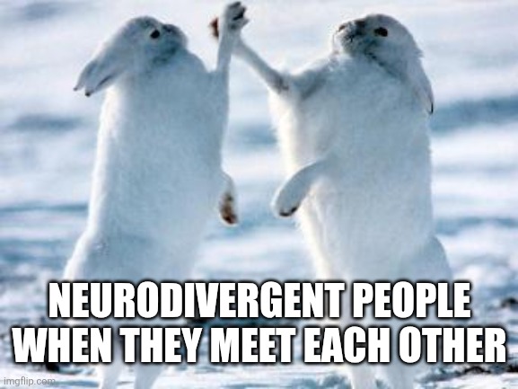 Neurodivergent friendship | NEURODIVERGENT PEOPLE WHEN THEY MEET EACH OTHER | image tagged in best friends | made w/ Imgflip meme maker
