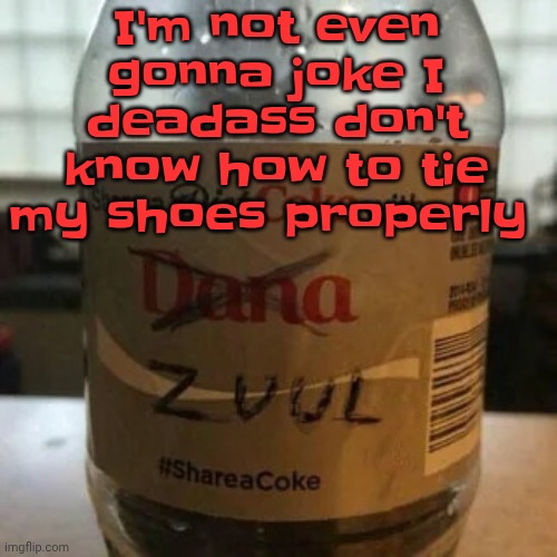 there is no diet, only zero | I'm not even gonna joke I deadass don't know how to tie my shoes properly | image tagged in there is no diet only zero | made w/ Imgflip meme maker