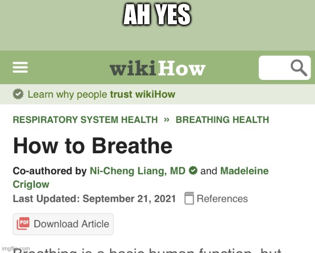 how to breathe | AH YES | image tagged in how to breathe wikihow | made w/ Imgflip meme maker