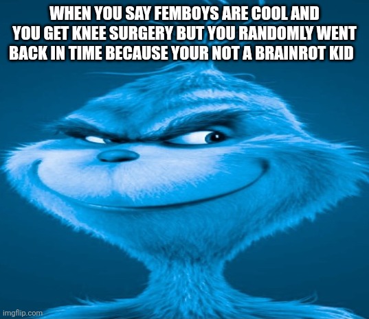 Blue Grinch | WHEN YOU SAY FEMBOYS ARE COOL AND YOU GET KNEE SURGERY BUT YOU RANDOMLY WENT BACK IN TIME BECAUSE YOUR NOT A BRAINROT KID | image tagged in blue grinch | made w/ Imgflip meme maker