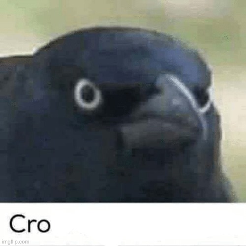 Cro | image tagged in crow of judgement | made w/ Imgflip meme maker
