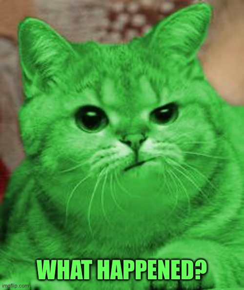 RayCat Annoyed | WHAT HAPPENED? | image tagged in raycat annoyed | made w/ Imgflip meme maker