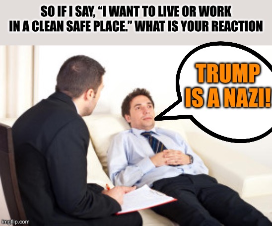TDS is truly a mental illness | SO IF I SAY, “I WANT TO LIVE OR WORK IN A CLEAN SAFE PLACE.” WHAT IS YOUR REACTION; TRUMP IS A NAZI! | image tagged in we have to protect the criminals,leftist mental derangement is a national threat,you are not ok,we dont want clean or safe | made w/ Imgflip meme maker