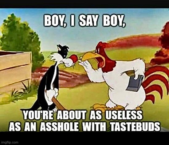 @$$hole With Taste buds | image tagged in sylvester the cat,rooster,cartoons,asshole,useless,funny memes | made w/ Imgflip meme maker