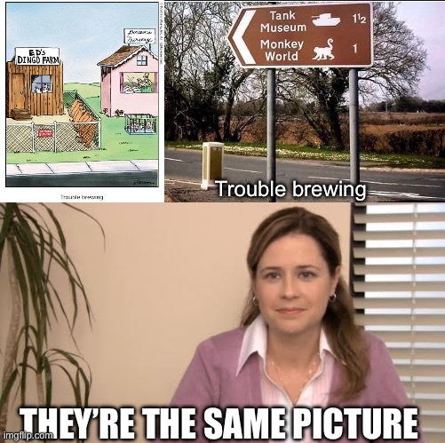 Same disaster quotient | Trouble brewing; THEY’RE THE SAME PICTURE | image tagged in they're the same picture,disaster,trouble,prepare for trouble and make it double,far side | made w/ Imgflip meme maker