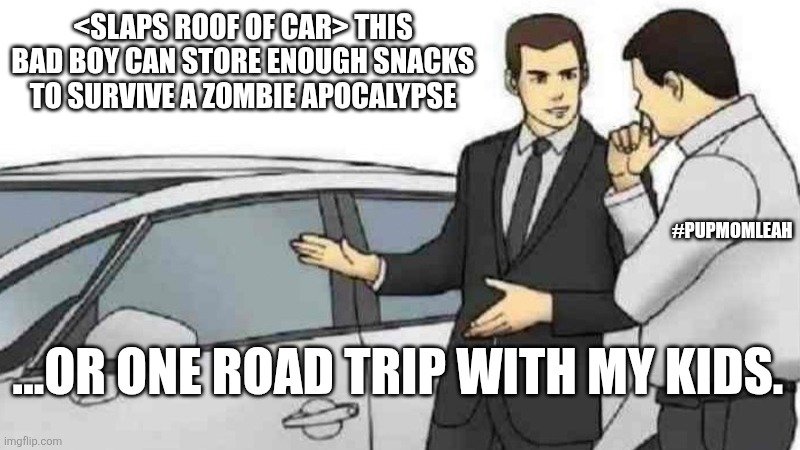 Wanna take it for a spin | <SLAPS ROOF OF CAR> THIS BAD BOY CAN STORE ENOUGH SNACKS TO SURVIVE A ZOMBIE APOCALYPSE; #PUPMOMLEAH; ...OR ONE ROAD TRIP WITH MY KIDS. | image tagged in funny,kids,dad,funny memes | made w/ Imgflip meme maker