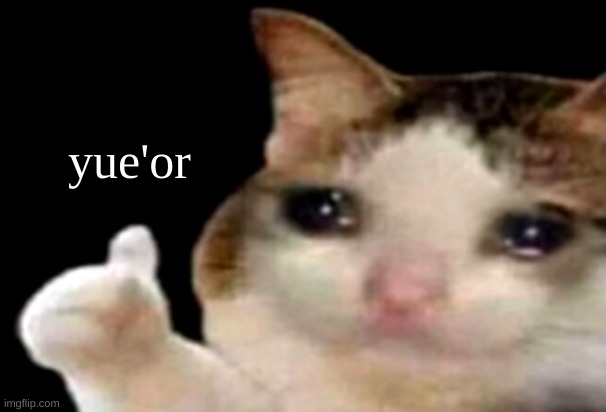 Sad cat thumbs up | yue'or | image tagged in sad cat thumbs up | made w/ Imgflip meme maker