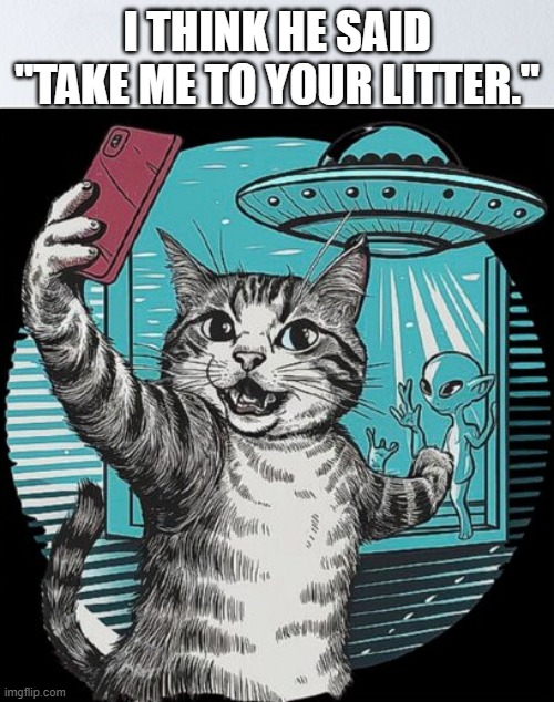 Cat thinks the space alien said "Take me to your litter."   - funny - | I THINK HE SAID "TAKE ME TO YOUR LITTER." | image tagged in cats,funny,kittens,humor,aliens,litter | made w/ Imgflip meme maker