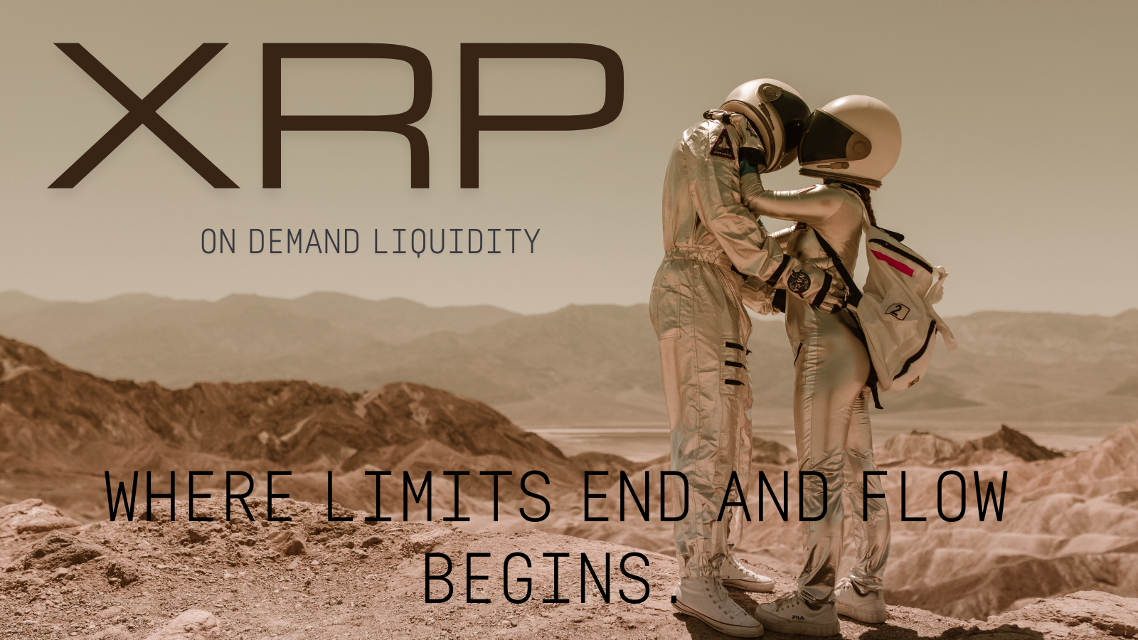 XRP Blank Meme Template