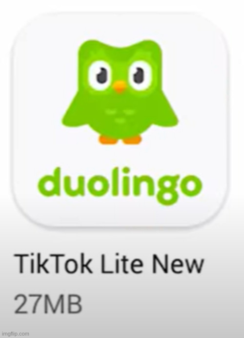 TikTok Lite New | image tagged in tiktok lite new | made w/ Imgflip meme maker