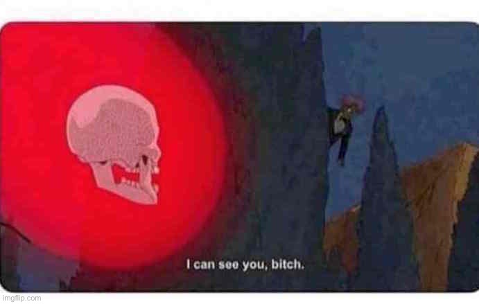 I can see you, bitch | image tagged in i can see you bitch | made w/ Imgflip meme maker
