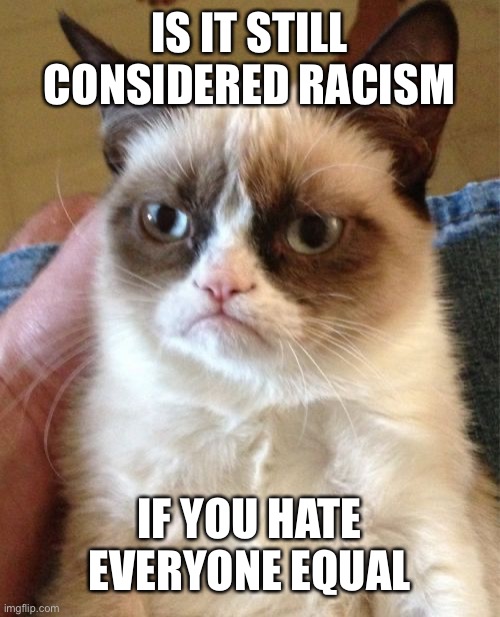 Grumpy Cat | IS IT STILL CONSIDERED RACISM; IF YOU HATE EVERYONE EQUALLY | image tagged in memes,grumpy cat | made w/ Imgflip meme maker