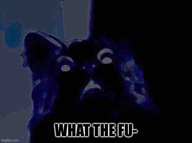 My Scared Cat Meme | WHAT THE FU- | image tagged in memes,scared cat | made w/ Imgflip meme maker