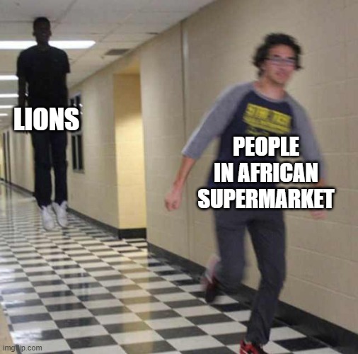 LIONS PEOPLE IN AFRICAN SUPERMARKET | image tagged in floating boy chasing running boy | made w/ Imgflip meme maker