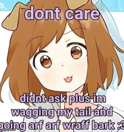 puppymoding :3 | image tagged in puppymoding 3 | made w/ Imgflip meme maker