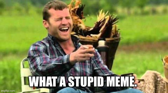 Fake Laugh | WHAT A STUPID MEME. | image tagged in fake laugh | made w/ Imgflip meme maker